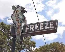 Polly's Freeze