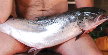 Mr. September