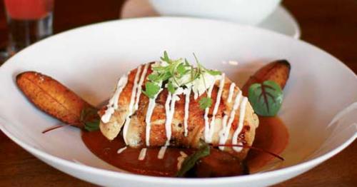 Mole Poblano at Guaca Mole. LEO photo by Ron Jasin.