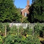 Peace, calm and good eats at Shaker Village