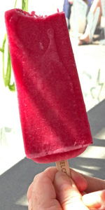 Cranberry-orange pop at Steel City Pops.