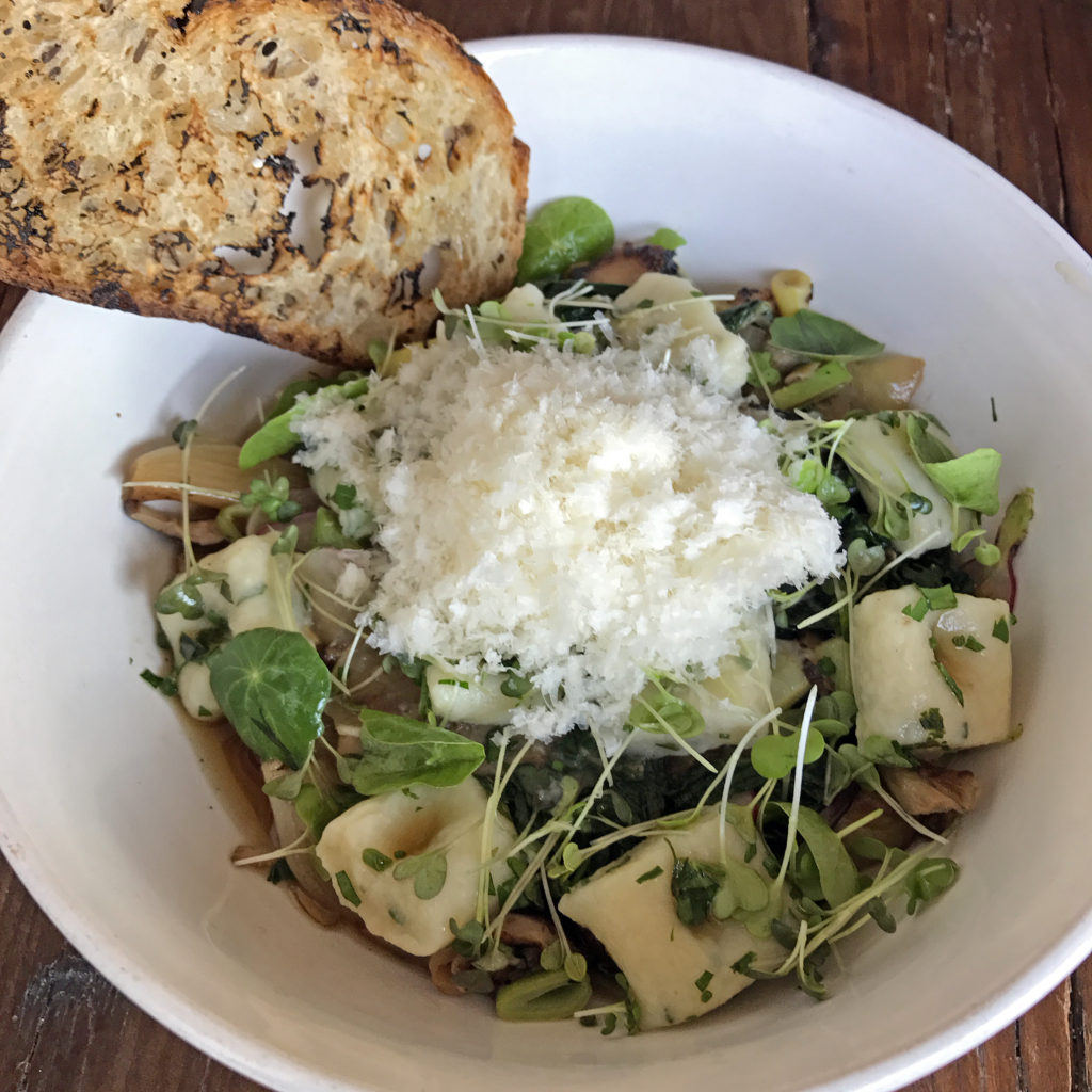 Harvest’s potato gnocchi with mushroom ragout.