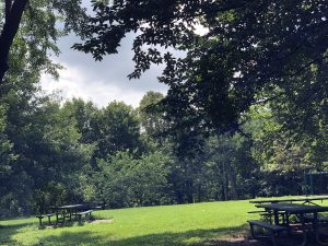 George Rogers Clark Park on Poplar Level Road makes a fine venue for a socially distanced picnic.