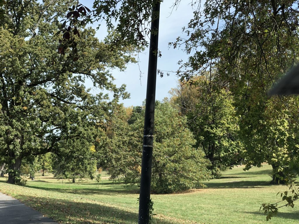 If you arrive a few minutes early, nearby Shawnee park beckons for a walk or a stop in the shade.