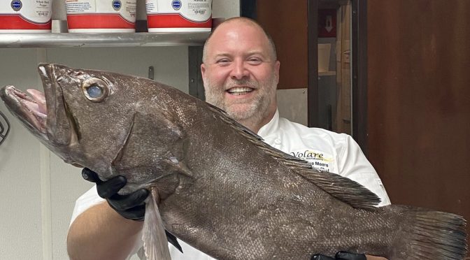 Volare Chef Josh Moore famously posts pictures of himself on his Instagram page proudly holding each day's fresh, sustainably caught fish special. This was a black grouper from Puerto Cabezas, Nicaragua, featured on Derby weekend.