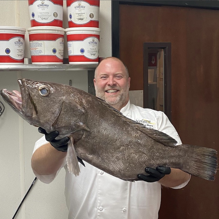 Volare Chef Josh Moore famously posts pictures of himself on his Instagram page proudly holding each day's fresh, sustainably caught fish special. This was a black grouper from Puerto Cabezas, Nicaragua, featured on Derby weekend.